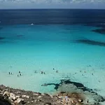 La Casa Dei Delfini Apartamento