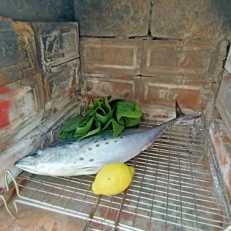 La Casa Dei Delfini דירה *