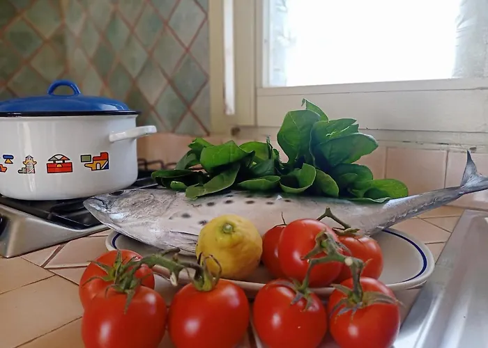 La Casa Dei Delfini Apartamento